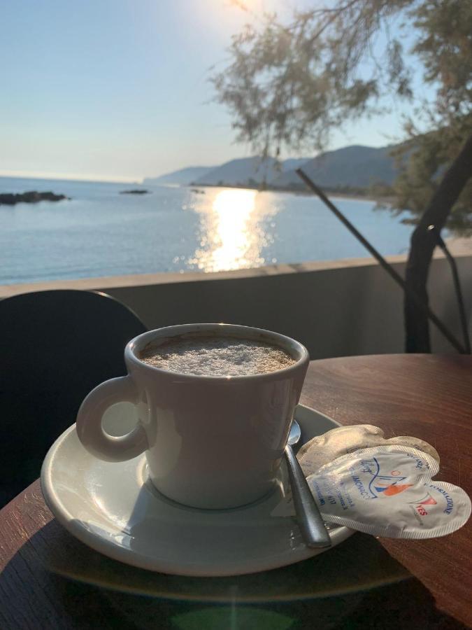 Testa Di Monaco - Basic Beach Accommodations 카포오를란도 외부 사진