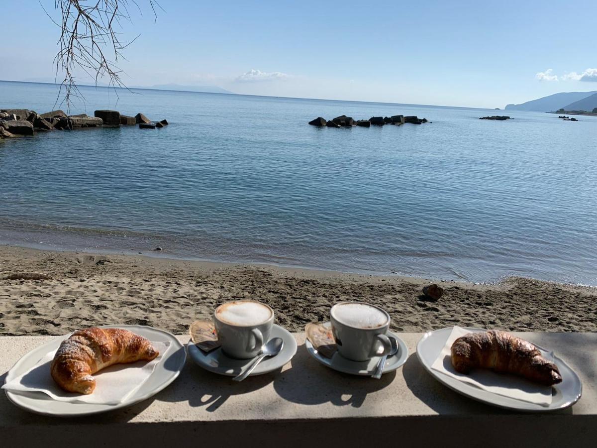 Testa Di Monaco - Basic Beach Accommodations 카포오를란도 외부 사진